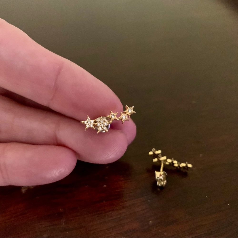 Stella & Dot earrings